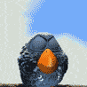 13975_prev_98.gif