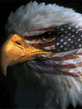 USA_Eagle.jpg