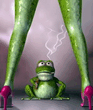 frog.jpg