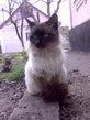 15042007274.jpg