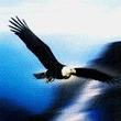 animal0004.jpg