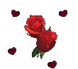 Розы в сердце.gif