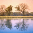 Nature_001.jpg