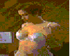 21.gif