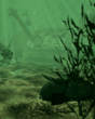 10.gif