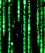 000255.gif