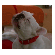 000282.gif