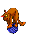000444.gif