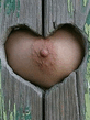 FLYP_588.jpg