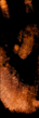h2.gif
