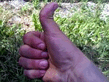 10062007583.jpg.jpg