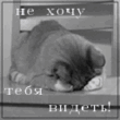 Img566B0708.gif