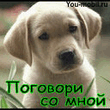 Img00BE.jpg