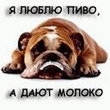 Miska2.jpg