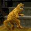 0028.gif
