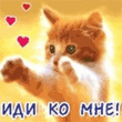 кися.jpg