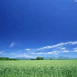 sky.jpg