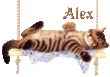alex.gif