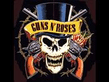 guns_roses.jpg