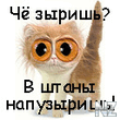 940813.jpeg