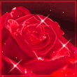 Roza.gif