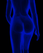 pa1.gif