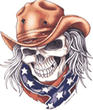 texas_771.jpg
