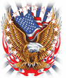 eagle_178.jpg