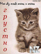 p_43119_43042.jpeg