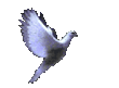 Peace Bird