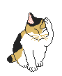 CATS_35.gif