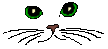 CATS_39.gif