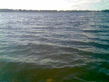 Volga_from_her_beach.jpg