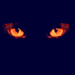 1w.gif