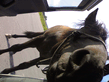 10082007_003_.jpg