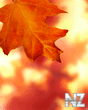 Autumn.png