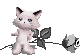 White_fox.gif