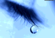 _570.gif