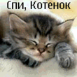 003_.gif