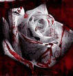 ROT IN DIE BLUT