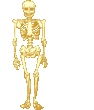 hai.gif