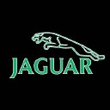 JAGUAR.jpg
