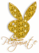 Playmate.gif