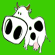 korova.gif
