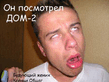 dom_2_3.jpg