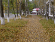 Осень Некрасовка Хабаровск.jpg