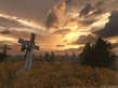 stalker_046.jpg