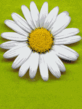 503724.gif