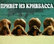 кривбасс
