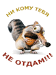 белка